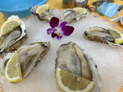 -蚝专家(北滘店)