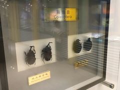 -上海昆虫博物馆