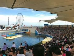 -秦皇岛乐岛海洋王国