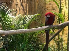 -杭州开元森泊度假乐园