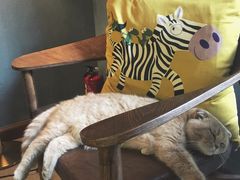 -咖法森林·咖啡  酒吧(天河店)