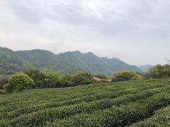 -中国茶叶博物馆(双峰馆区)