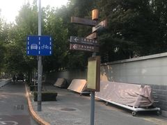 -三里屯东五街银杏大道
