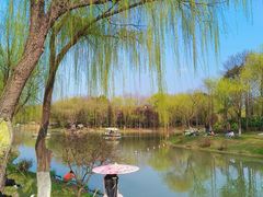 -顾村公园