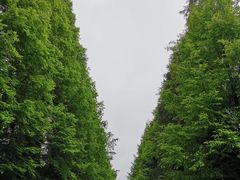 -山王坪喀斯特国家生态公园