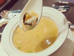 -新天明砂锅鱼头煲