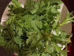 -九鼎轩脆毛肚火锅(三钢里店)