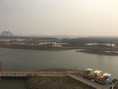 -春花秋色城市公园