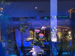 -九献创意菜(亮马河花园店)