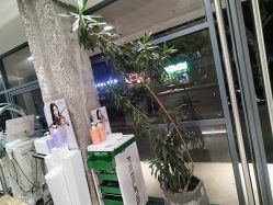 -PE SALON