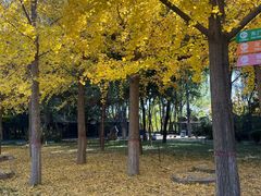 -石家庄市动物园