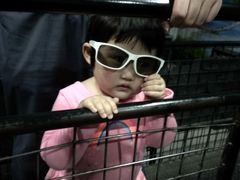 -朝阳公园游乐园