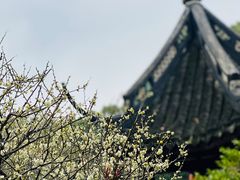 -上海醉白池公园