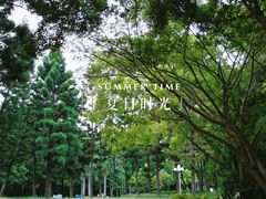 -人民公园(罗湖区)