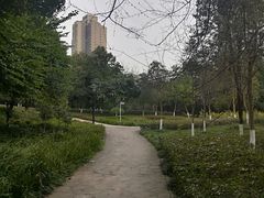 -重庆彩云湖湿地公园