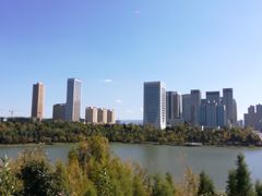 -洛龙公园