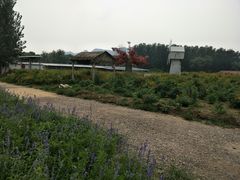 -北京东方普罗旺斯薰衣草庄园