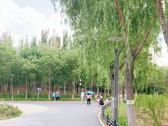 -大兴滨河森林公园