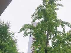 -The place那儿(新城国际店)