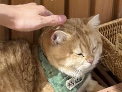 -天井·丑面包搭咖啡