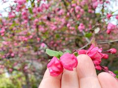 -青岛崂山太清宫