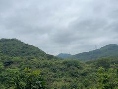 -凤岗南门山森林公园