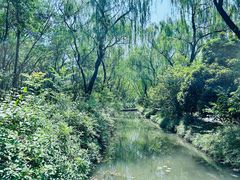 -洛阳市隋唐城遗址植物园
