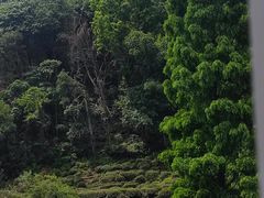 -西湖风景区-江洋畈生态公园