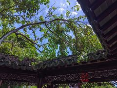 -檀园