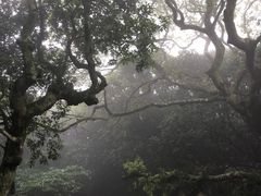 -普陀山风景区-佛顶山