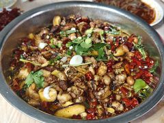 -食神又名厕所兔