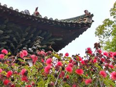 -建水文庙