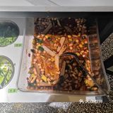 吃着火锅唱着歌~跨年的好去处