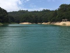 -广州市流溪河国家森林公园