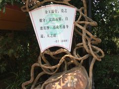 -海南文笔峰盘古文化旅游区