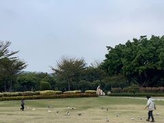 -白鹭洲公园