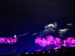-武夷山风景名胜区-玉女峰