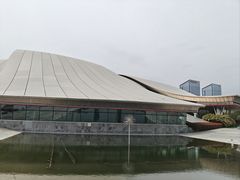 -合肥大剧院