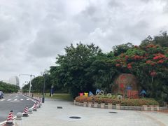 -野狸岛