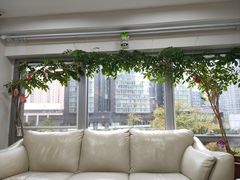 -精德口腔·种植修复·儿牙中心(财富中心店)
