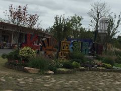 -上海长兴岛郊野公园