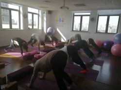 -爱尔乐美孕产瑜伽·普拉提