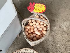 -马陆小张葡萄园农家乐