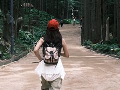 -洛阳白云山景区