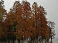 -四明湖