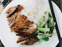 鹅肉饭-乌文新澄海卤鹅店
