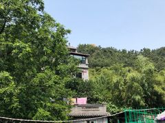 -老张烤羊(王哥庄店)