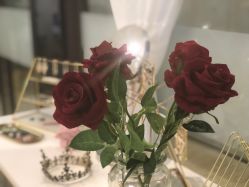 -La Rose·轻奢皮肤管理