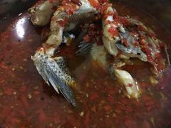 -风鑫铃罗非鱼(道沟店)