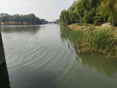-马家湾湿地公园